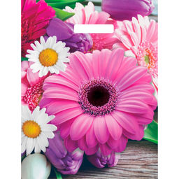 Пакет с вырубной ручкой 31х40см 60мкм (Ароматная палитра) Глянцевый Артпласт ВУР58085 упак/50шт.