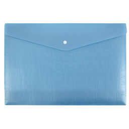 Expert Complete Trend ICEberries Папка-конверт с кнопкой A4 180 мкм лён 20 шт. голубика ЕС211120071