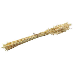 Овес отбеленный, пучок 80г, 60 колосьев, h 60-70см