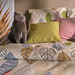 Постельное бельё Этель 2 сп Foliage 175*215 см, 200*220 см, 70*70 см -2 шт, бязь  фото 8