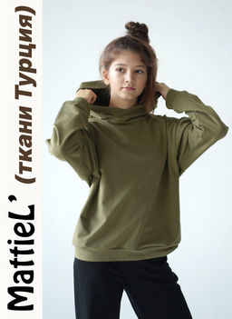 Толстовка D229-74