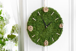 Blumentag BMSR-50 Мох стабилизированный окрашенный 50 г  5 г №01 салатовый  фото 5