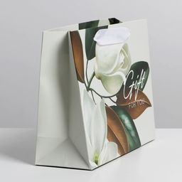 Цена за 2 шт. Пакет подарочный ламинированный, упаковка, «Подарок» 22×17.5×8 см