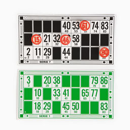 Русское лото «Подарочное», 90 бочонков, 48 карточек