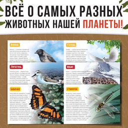 Обучающие книги набор «Удивительный мир» 6 шт. по 20 стр.