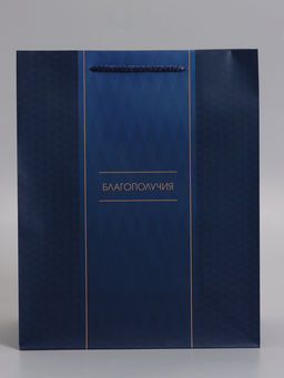 Пакет подарочный ламинированный «Лаконичный комплимент», 26×12×32 см