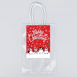 Цена за 5 шт. Пакет подарочный, 21 x 15 + 7,5 см