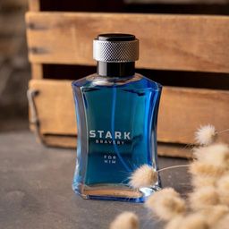 Dilis STARK BRAVERY Туалетная вода для мужчин 100 мл  фото 4