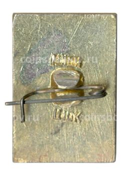 Значок Владимир