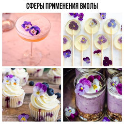 Цветы съедобные KONFINETTA Виола тёмно-желтая для капкейков, тортов и напитков, 5 шт.  фото 6