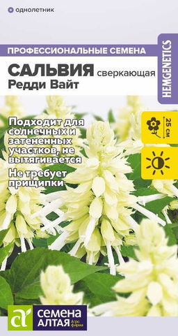 Цветы Сальвия Редди Вайт сверкающая/Сем Алт/цп 5 шт.