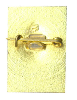 Значок Петродворец