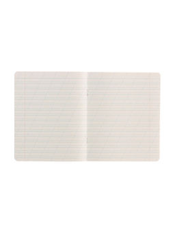 Набор тетрадей 12 листов в косую линейку, Calligrata «Однотонная Классика», серые листы, МИКС