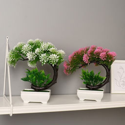 Бонсай в горшке «Селагинелла африканская», 10×20 см, МИКС