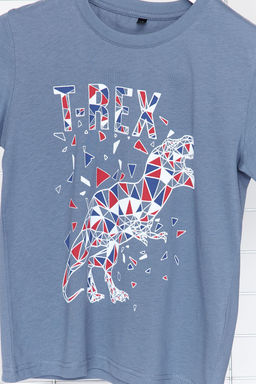 Indigo Erkek Cocuk %100 Pamuk Dinozor Desenli Regular Kal?p K?sa Kol Orme T-Shirt TKDSS24TS00035 - Trendyolmilla фото 3