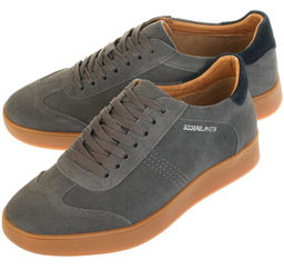 Оксфорд Baden ZX062-010