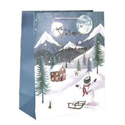 Цена за 12 шт. Пакет подарочный 18x23x10см / 5286M /уп 12/720/Новый год - Галеонтрейд фото 4