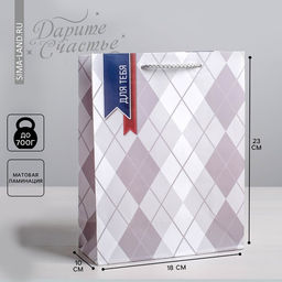 Цена за 2 шт. Пакет подарочный ламинированный, «Для тебя», упаковка, 18×23×8 см