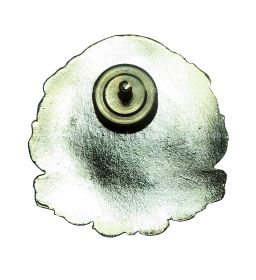 Знак Почётный гражданин города Болхов