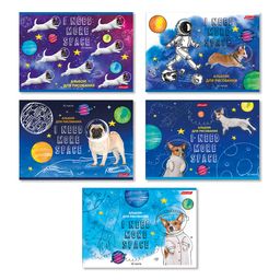 Светоч 32АЛСК4_4_3_9 Альбом для рисования, выборочный лак, 100 г/м2 A4 29 х 20.5 см 32 л. 5 шт. на скобе 000214 Всё вокруг меня