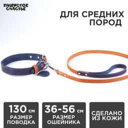 Комплект : ошейник (36-56х2.5 см) и поводок (130х1.5 см), цвет синий и бежевый
