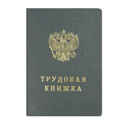 Бланк ТРУДОВАЯ КНИЖКА Гознак А6 1 сл. 22 л. тв.обл. офс.