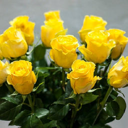 R521 ХАММЕР