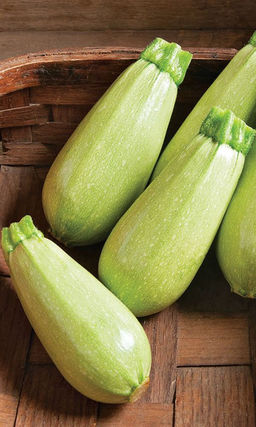 Кабачок ЗАЯЧЬЕ УШКО  Суперурожайный! Отлично хранится!