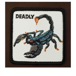 Бейсболка GOORIN BROTHERS арт. 101-1436 (коричневый / черный) фото 2