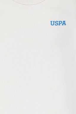 U. S. Polo Assn Толстовка Stone с круглым вырезом для мальчиков - U.s. polo assn фото 18