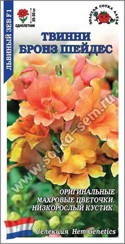 Львиный зев Твинни Бронз шейдс F1 5шт. (Золотая сотка Алтая)