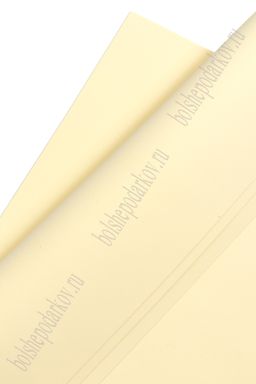 Фоамиран 2 мм, Китай 40*60 см (10 листов) SF-3422, ваниль №1025