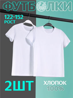 2футболки 2ПДФК4231001