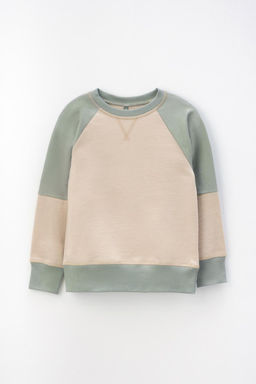 КР 302161-1/темно-бежевый джемпер (свитшот) для мал