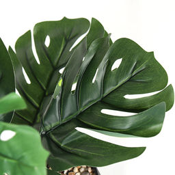 Цветочная композиция Монстера 42 см / ZH-008 /уп 48/ - Галеонтрейд фото 3