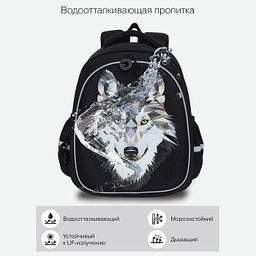 RAz-087-3 new Рюкзак школьный с картхолдером на держателе - Grizzly фото 24