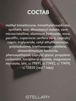 Stellary Стойкий карандаш-помада для губ Wild Chic collection тон 02  фото 8