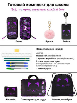 Рюкзак SkyName set-R9-12 + мешок для обуви, папка, пенал, кошелек, бейдж, канц. наб, брелок , значки  фото 15