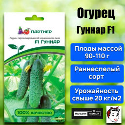Огурец партенокарпический Гуннар - Партнер фото 8