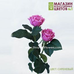 075 Роза двойная пионовидная - Без тм фото 7