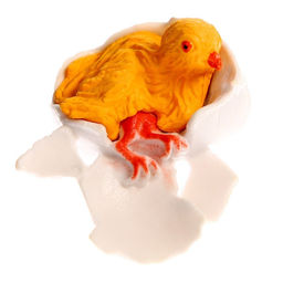 Обучающий набор Этапы развития куриц 4 фигурки - Simaland фото 4