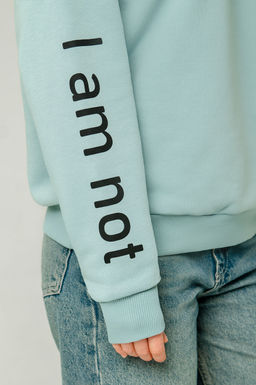 Арт. 15104 Свитшот женский 44-52 (5 шт) Цвет:мята