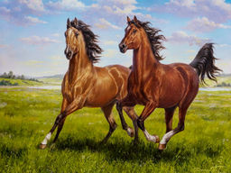 Вышивка крестиком 40х50см, Лошади