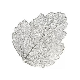 Салфетка декоративная полимер 36х47 см Веточка Y4-5454 (407678) /DANIKS/