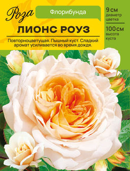 Роза Лионс Роуз (Флорибунда) С ЦВ.НАКЛЕЙКОЙ 1шт