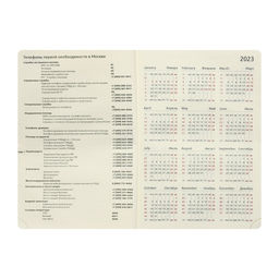 Ежедневник датированный 2024 A5 176 листов, deVENTE.I Love Cat, твёрдая обложка из искусственной кожи, тиснение фольгой, ляссе, кремовый блок 70 г/м2, голубой