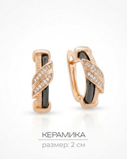 Серьги