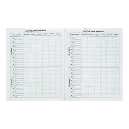 Премиум-дневник универсальный, для 1-11 класса Vivella Авто, обложка искусственная кожа, синий - Calligrata фото 8