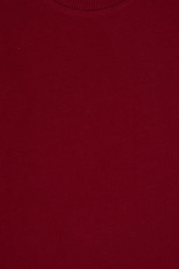 Erkek _ocuk Bordo Basic Sweatshirt Sepette S_rpriz _ndirim - U.s. polo assn фото 12
