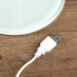 Лампа настольная RISALUX «Крокус», светодиодная, от USB, белая, 34×14×38 см